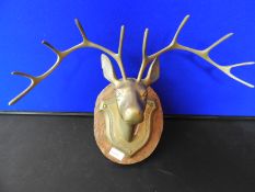 Brass Deer Head Mounted on Wooden Plaque