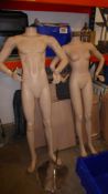 * 2 x Mannequins 1 female, 1 male including stands.