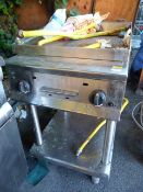 Griddle/Hot Plate