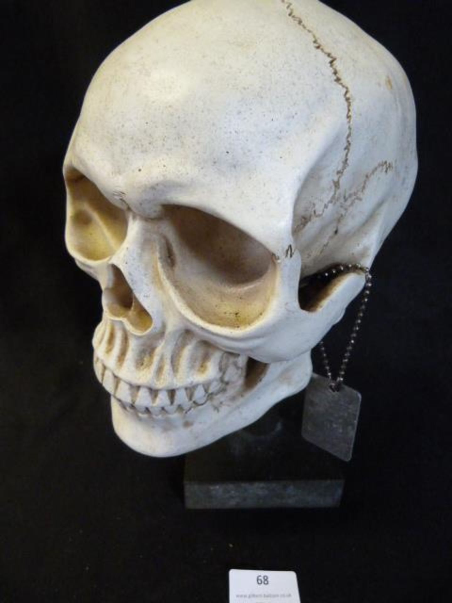 Life Size Resin Skull on Stand