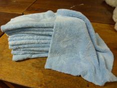 *Ten Blue Fleece Extra Soft Polishing Cloths