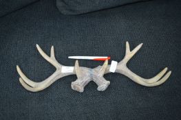 Antler Style Coat Rack