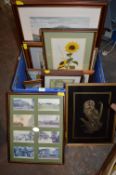 Framed Pictures and Prints