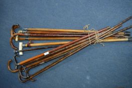 Thirteen Period Walking Sticks and Canes