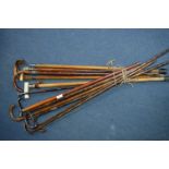 Thirteen Period Walking Sticks and Canes