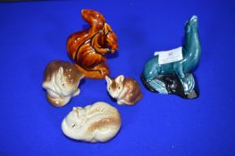 Poole Seal, Squirrel and Door Mice