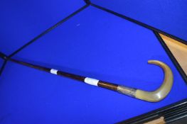 Rosewood Walking Cane with Silver Ferule and Horn Handle