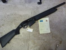 Tomahawk WII Semi-Automatic Shotgun with Current Deactivation Certificate and Two Mags