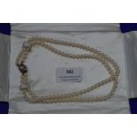 Cased Mikimoto Cultured Pearl Necklace