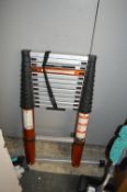 *Bratavia Giraffe Telescopic Ladder