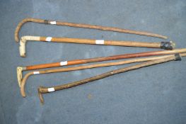 Five Walking sticks