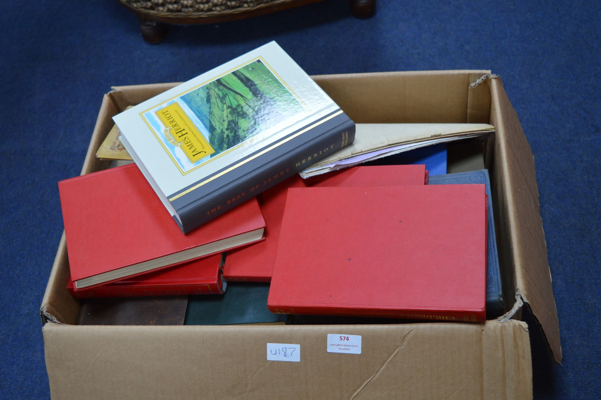 Large Box of Books