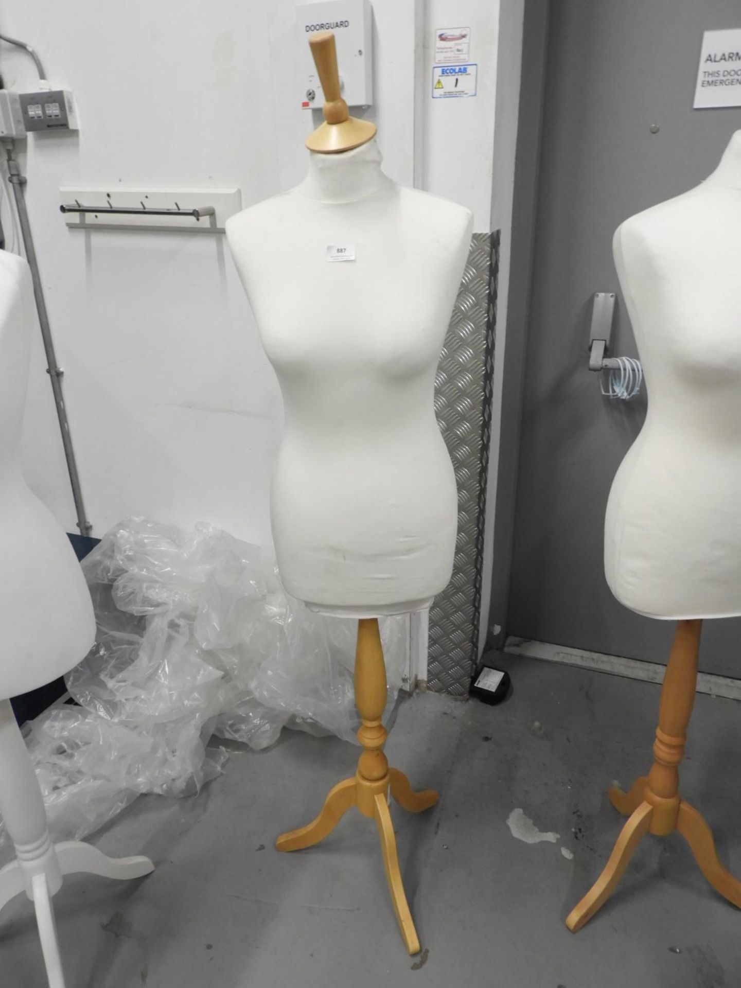 *Female Mannequin Torso on Stand