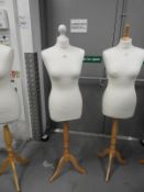 *Female Mannequin Torso on Stand