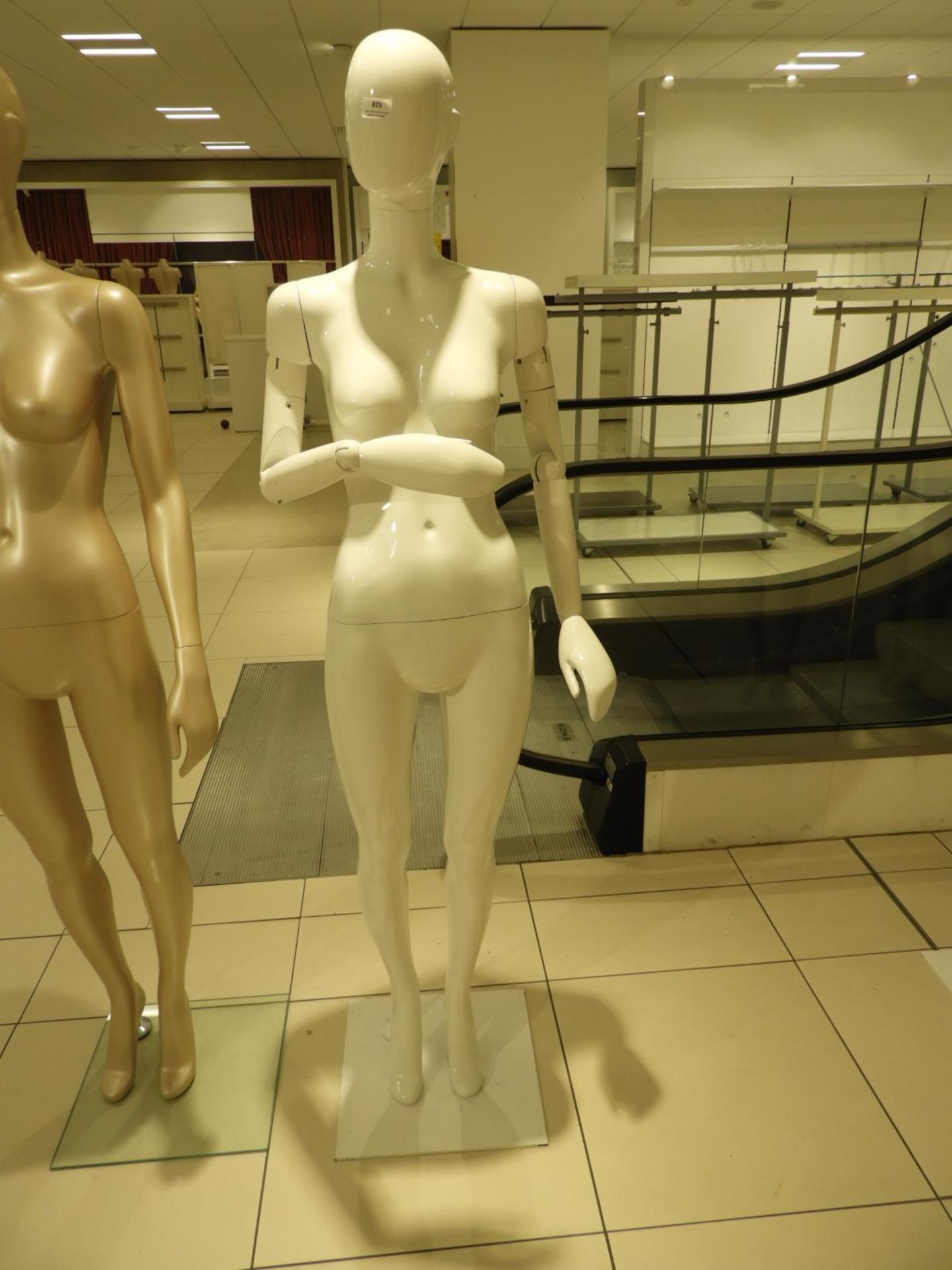 *Female Mannequin with Articulated Arms on Stand