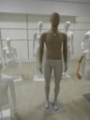 *Male Mannequin with Canvas Body and Head