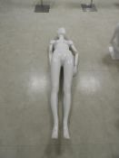 *Female Mannequin with Articulated Arms (no stand)