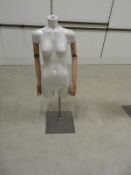 *Female Torso with Articulated Arms on Stand