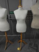 *Female Mannequin Torso on Stand