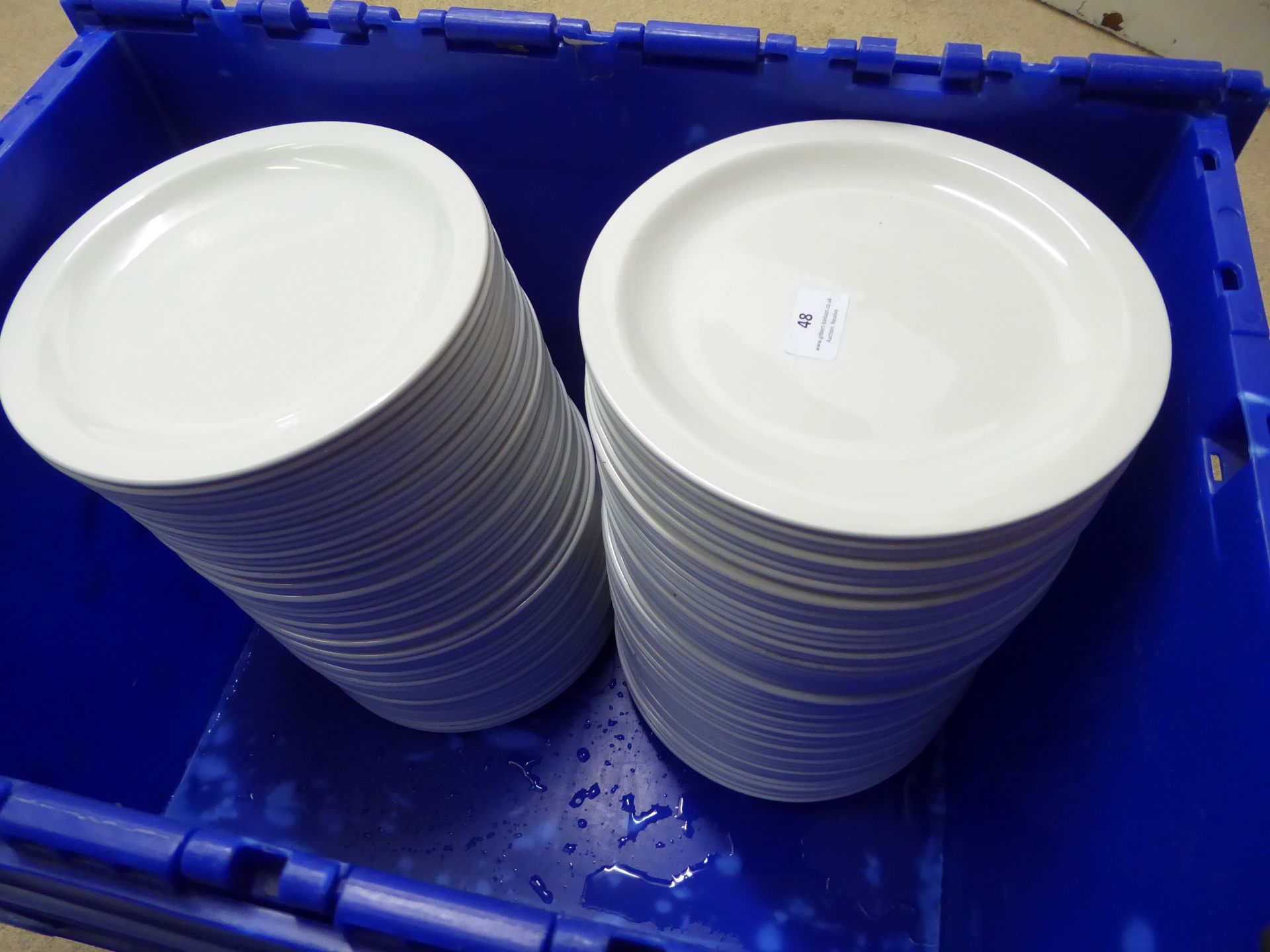 * 100 white dinner plates 23 centimetres