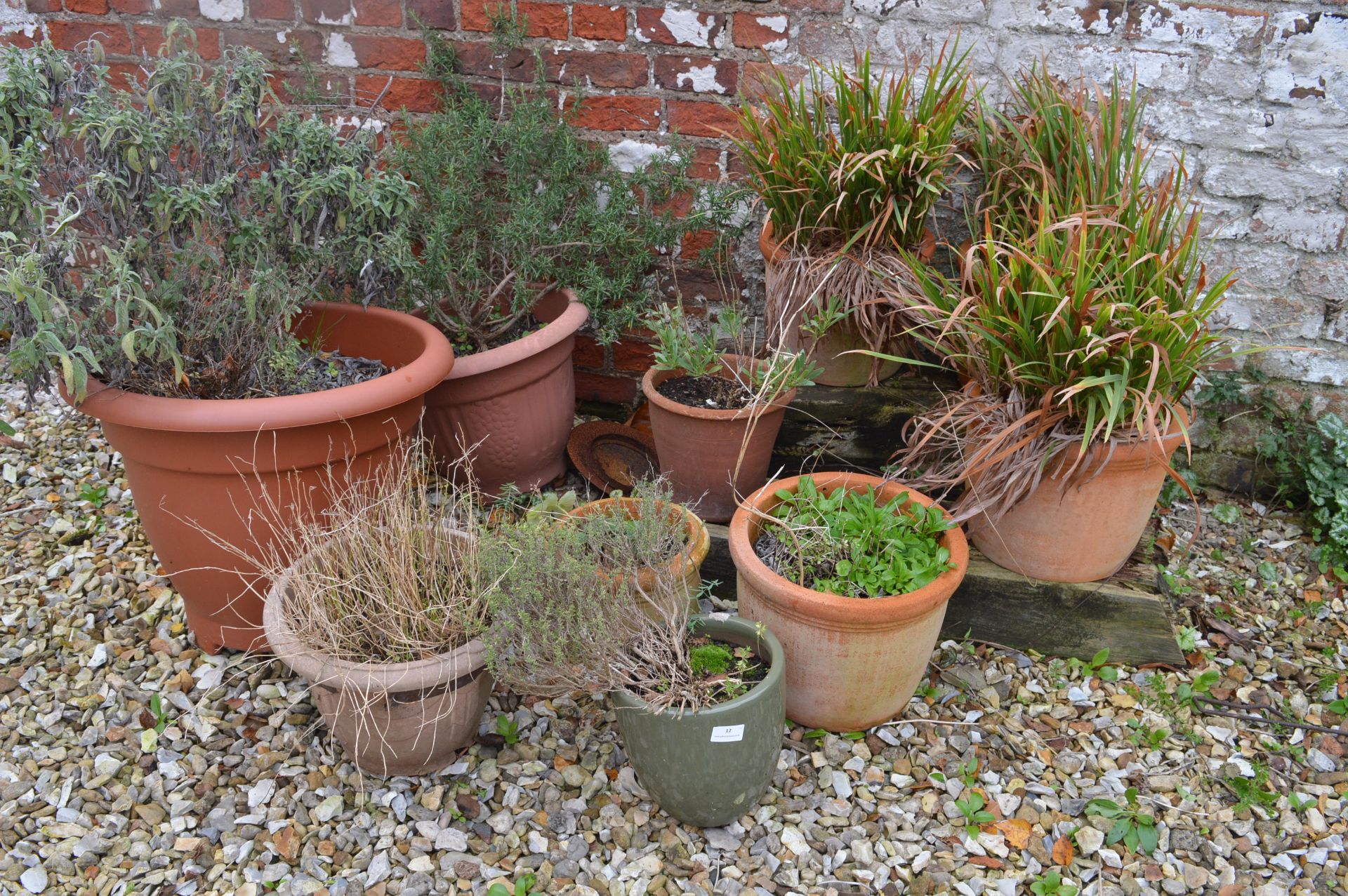 Ten Assorted Terracotta and Plastic Plant Pots