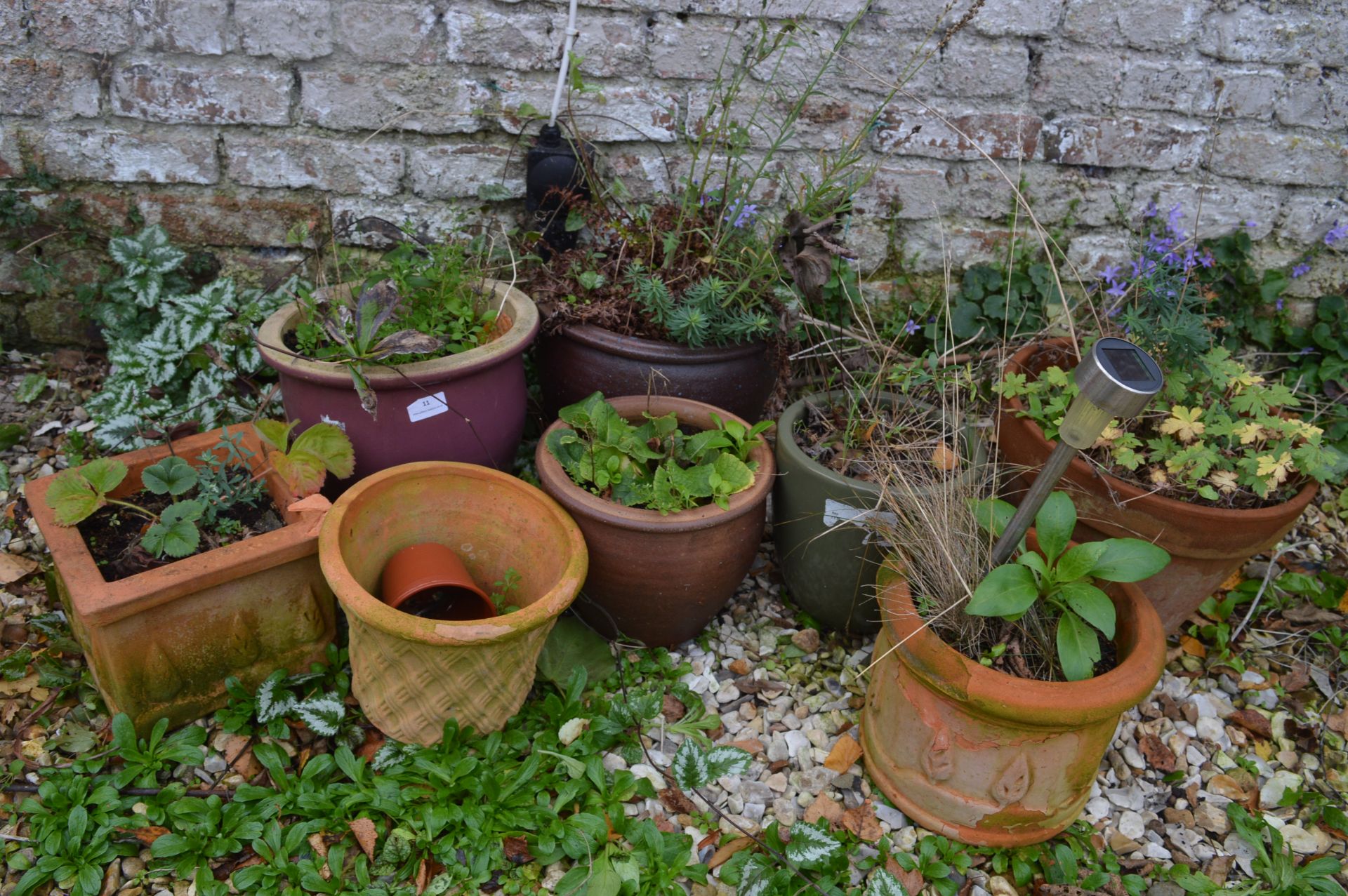 Eight Assorted Plant Pots