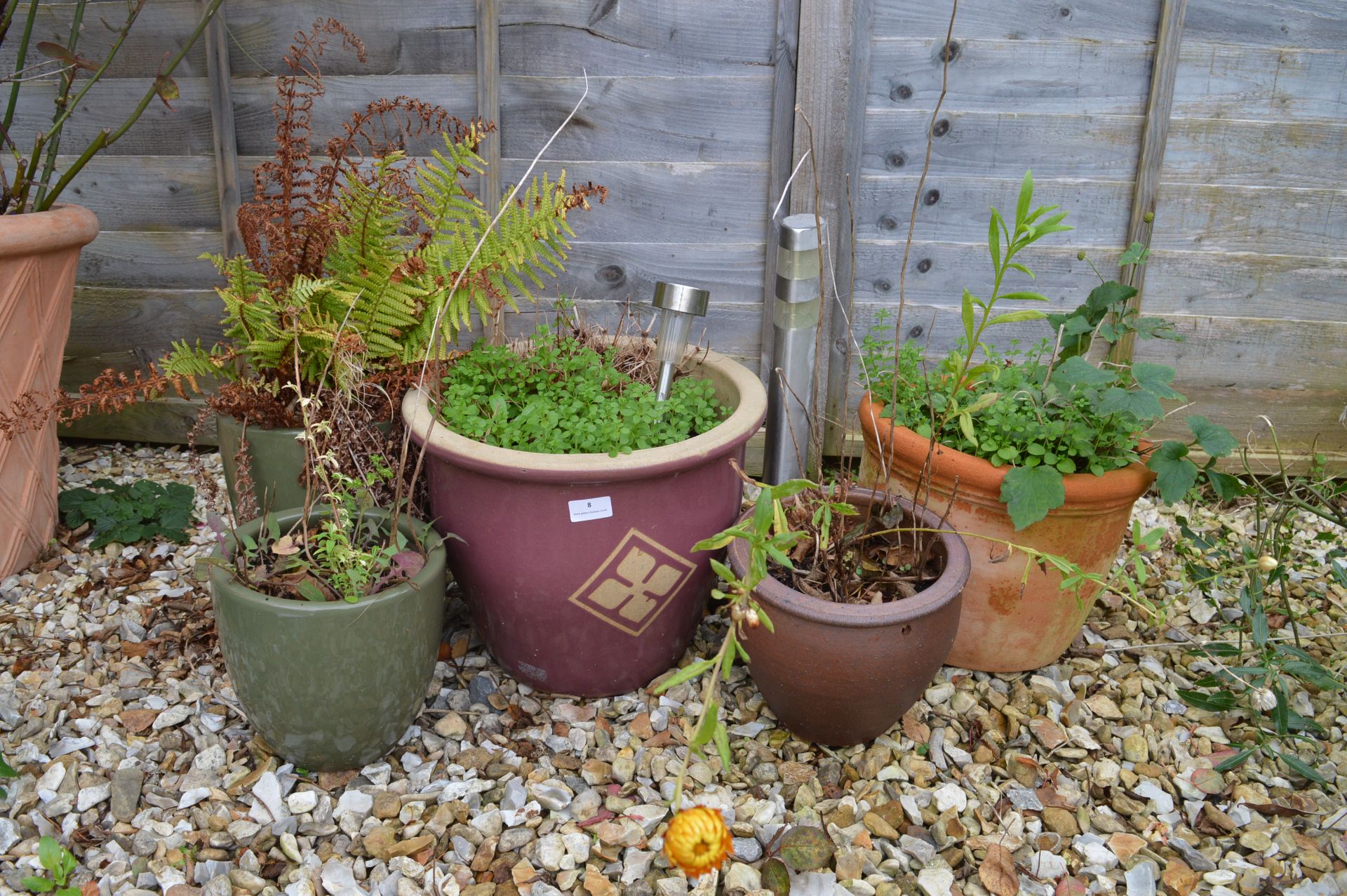 Five Assorted Plant Pots