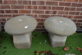 Pair of Garden Toadstools