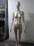 *Brown Female Mannequin