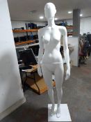 *White Female Mannequin