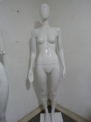 *White Female Mannequin