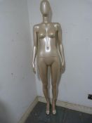 *Brown Female Mannequin