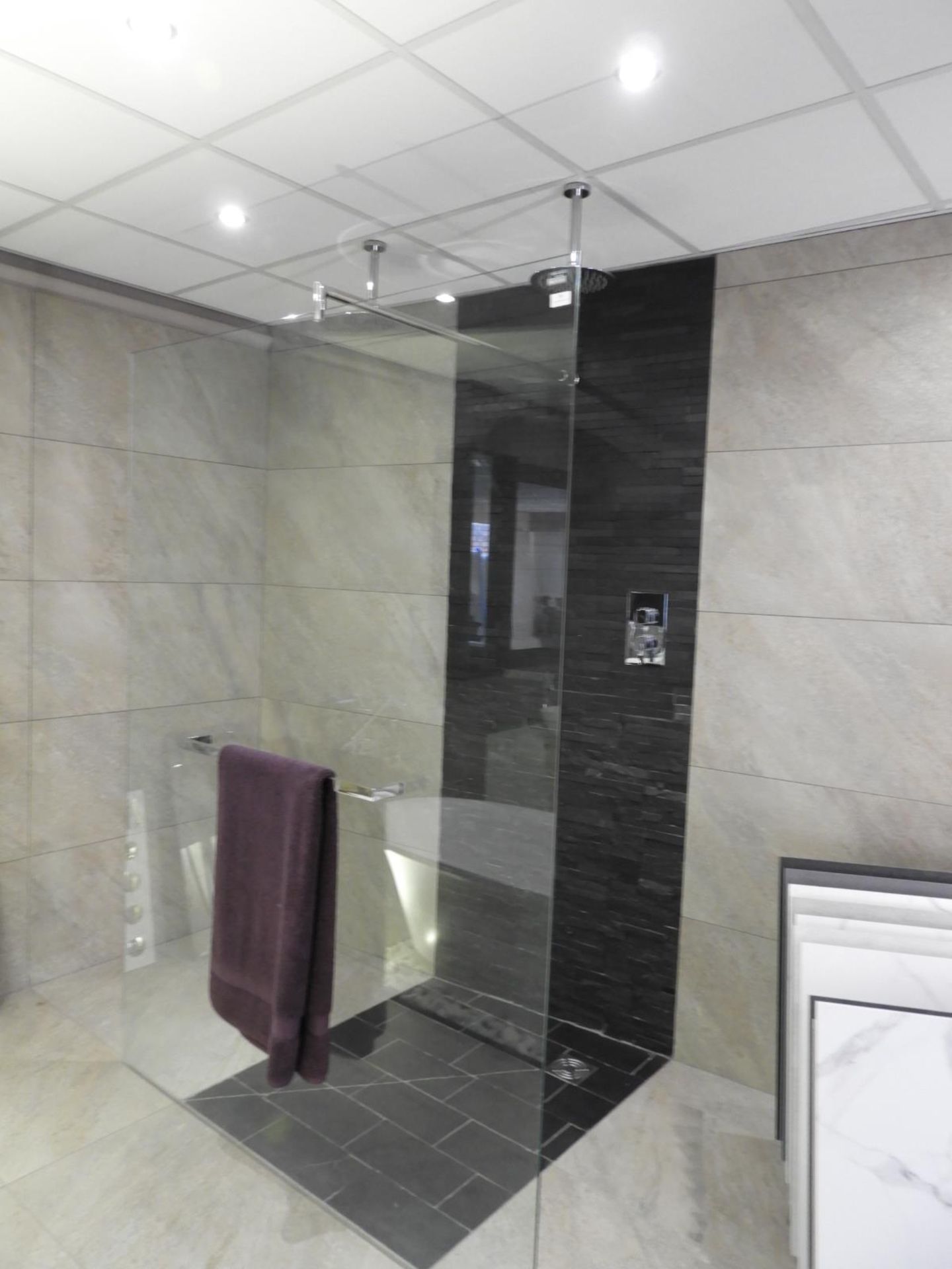 *Tavistock Wetroom Shower Screen with Double Waterfall Shower Heads