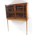 A mahogany display cabinet on stand, with a pair of astragal glazed doors opening to reveal two