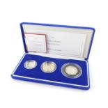 A Royal Mint United Kingdom silver proof Piedfort one pound coin collection 2003, cased with