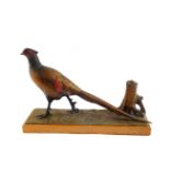 An early 20thC cold painted spelter strike lighter, modelled as a pheasant on a naturalistic ground,