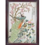 A Chinese Republic porcelain panel, painted with peacocks, prunus blossom and other flowers, with