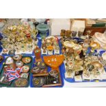 Cavy Club trophies, shields, rosettes, together with equestrian trophies, etc. (7 trays)