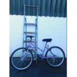 A Phantom Integra mountain bike, and a metal step ladder. (2)