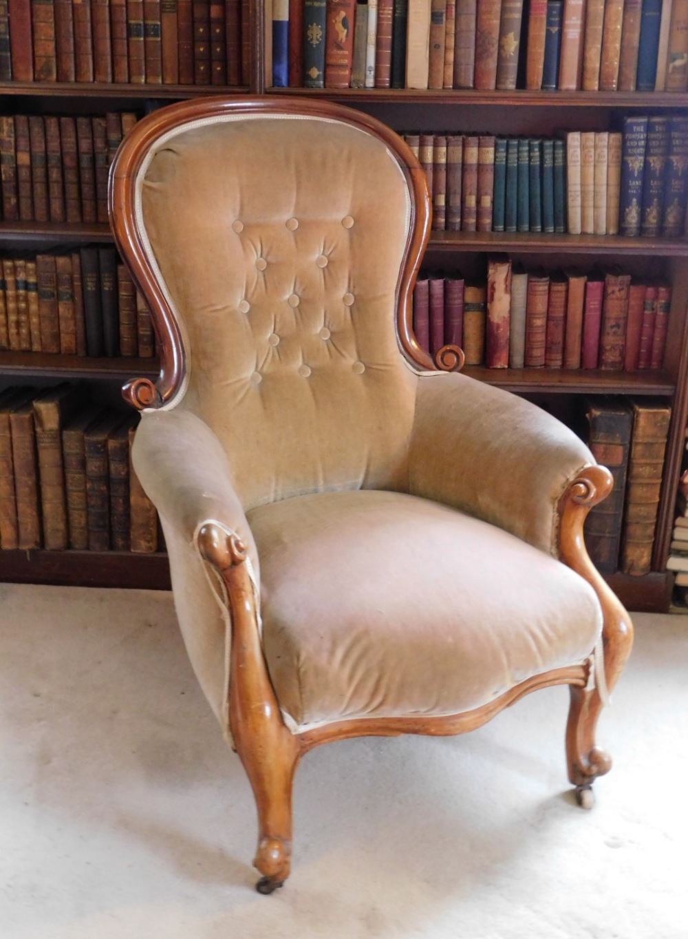 A Victorian mahogany show frame armchair, upholstered in button beige fabric, on cabriole legs