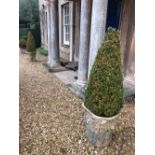 Withdrawn Pre-Sale by Vendor. A pair of rustic stoneware effect planters, 46cm high, 60cm diameter.