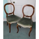 A pair of Victorian walnut balloon back chairs, each with a padded seat on cabriole legs.