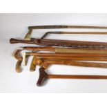 Two Malacca cane walking sticks, one with an ivory handle, other walking sticks and two hickory