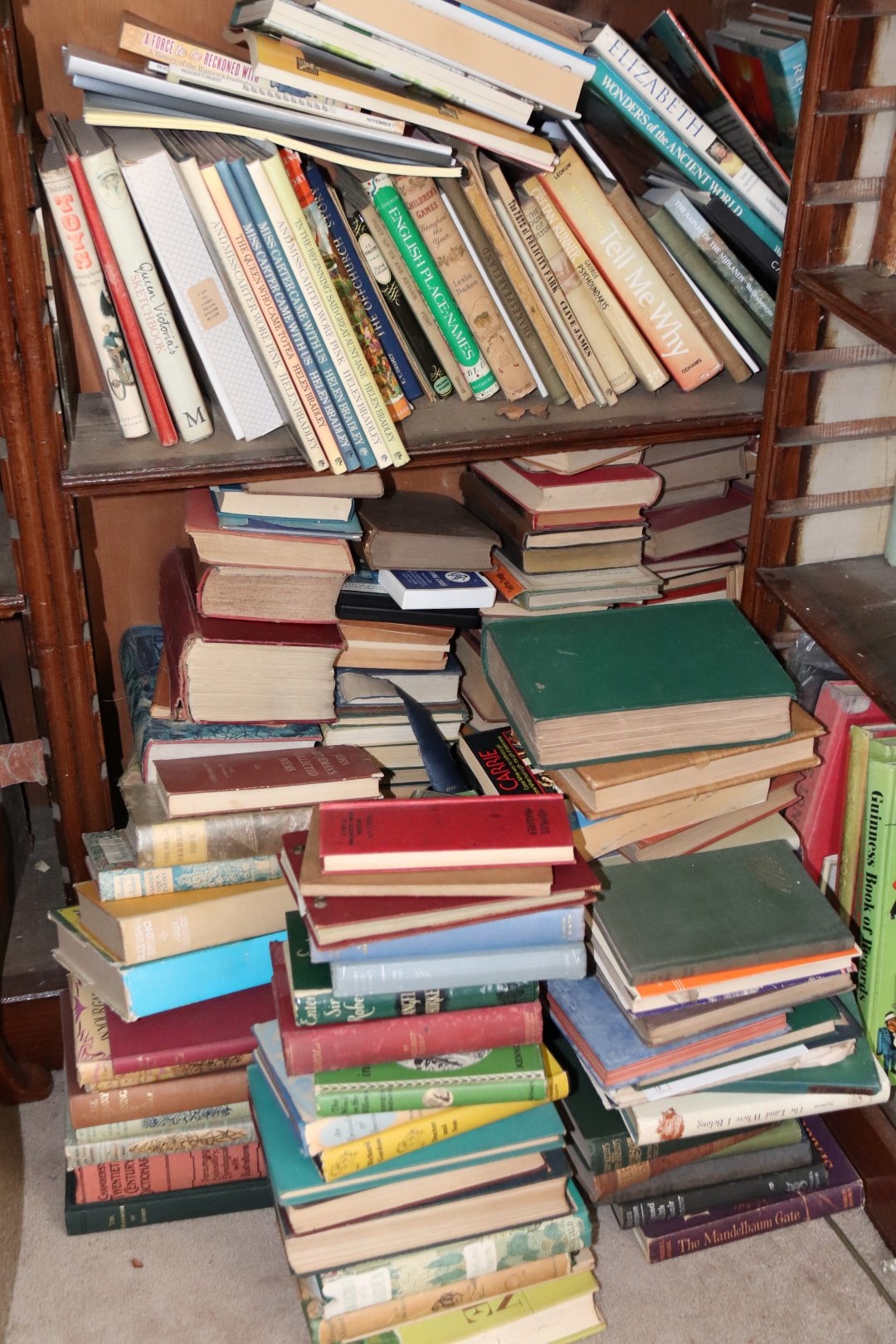 A large quantity of mixed general literature, mostly modern.