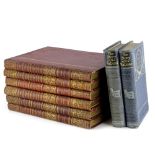 The British Isles Depicted by Pen and Camera, special edition (5 vols), and two volumes of The Story