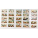 Cigarette cards, Downland by E & W Anstie Ltd, Devizes., a full set of horse racing related cards.