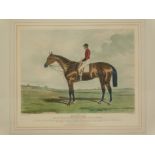 After Harry Hall (British 1814-82). Nutwith, The Winner of The Great St Ledger Stakes at Doncaster