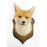 An early 20thC wall mounted foxes head, with taxidermist label J.E Shelbourne 21 Amy Street