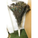 Various peacock feathers.