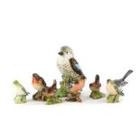 A collection of Beswick birds, to include a Kookaburra, Gold Crest, Grey Wagtail, Robin,